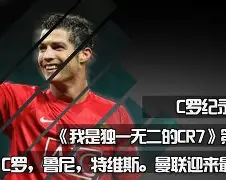 多米-国王队篮球